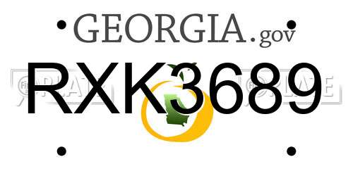 RXK3689 Georgia License Plate