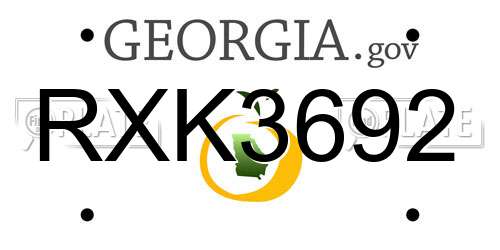 RXK3692 Georgia License Plate