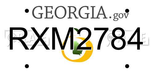 RXM2784 Georgia License Plate