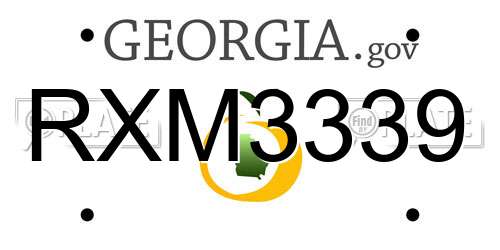 RXM3339 Georgia License Plate