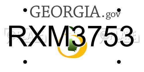 RXM3753 Georgia License Plate