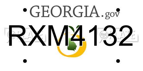 RXM4132 Georgia License Plate