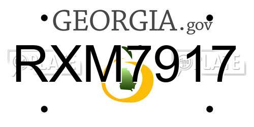 RXM7917 Georgia License Plate