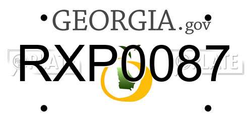 RXP0087 Georgia License Plate