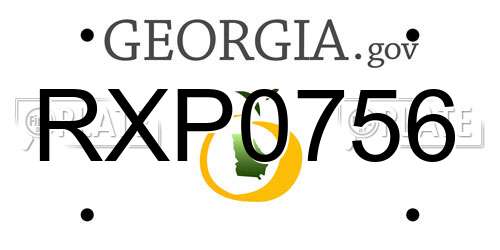 RXP0756 Georgia License Plate