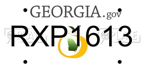 RXP1613 Georgia License Plate