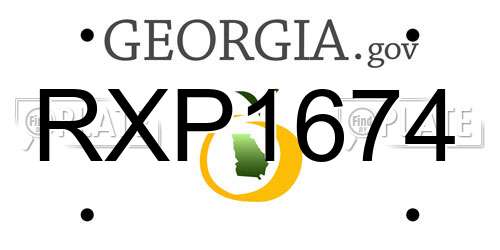 RXP1674 Georgia License Plate