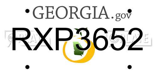 RXP3652 Georgia License Plate
