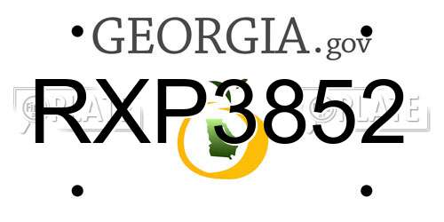 RXP3852 Georgia License Plate