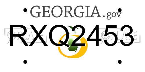 RXQ2453 Georgia License Plate
