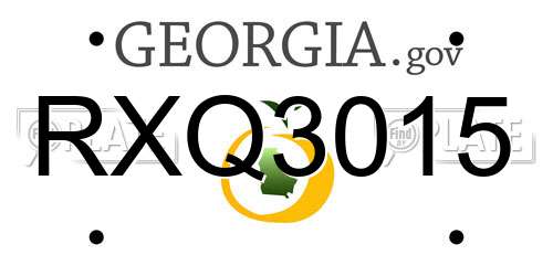 RXQ3015 Georgia License Plate