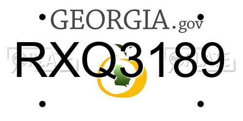 RXQ3189 Georgia License Plate