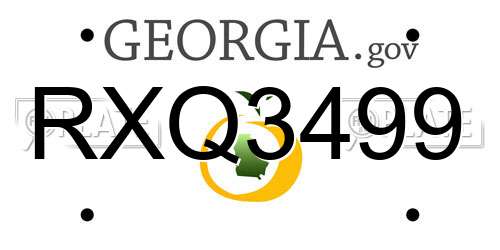 RXQ3499 Georgia License Plate