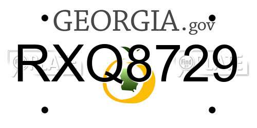 RXQ8729 Georgia License Plate