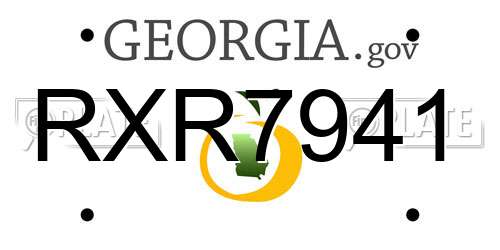 RXR7941 Georgia License Plate