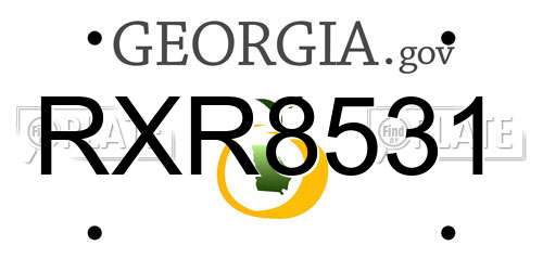 RXR8531 Georgia License Plate