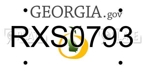 RXS0793 Georgia License Plate