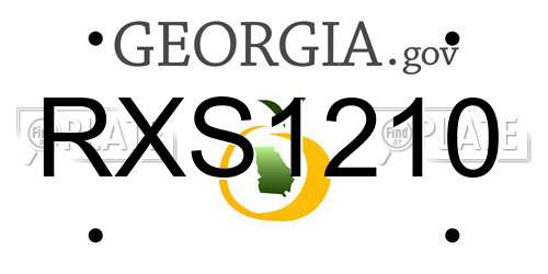 RXS1210 Georgia License Plate