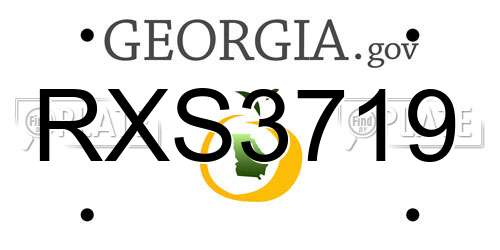 RXS3719 Georgia License Plate