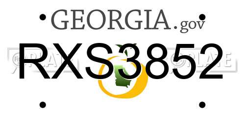 RXS3852 Georgia License Plate