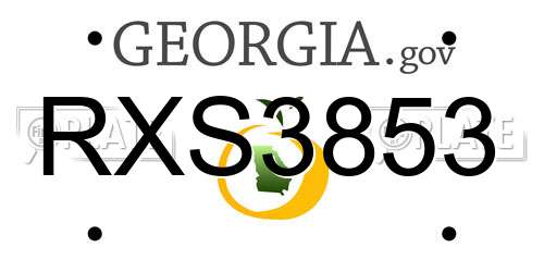 RXS3853 Georgia License Plate