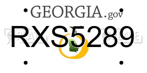 RXS5289 Georgia License Plate