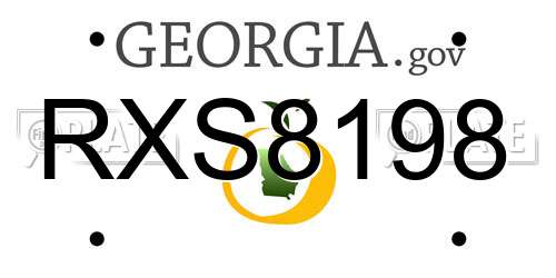 RXS8198 Georgia License Plate