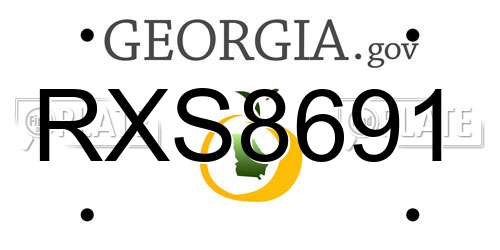 RXS8691 Georgia License Plate