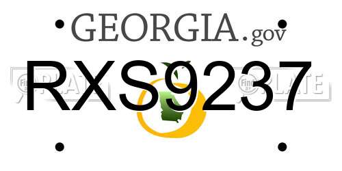 RXS9237 Georgia License Plate