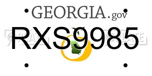 RXS9985 Georgia License Plate