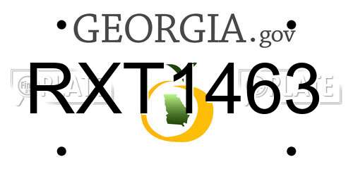 RXT1463 Georgia License Plate