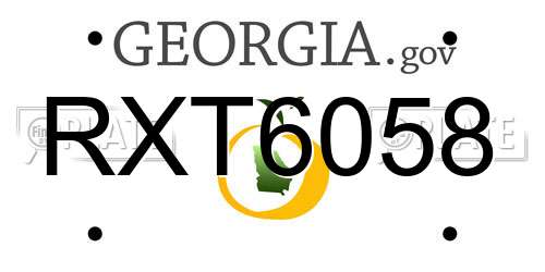 RXT6058 Georgia License Plate