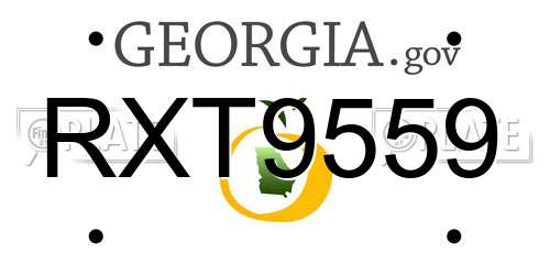 RXT9559 Georgia License Plate