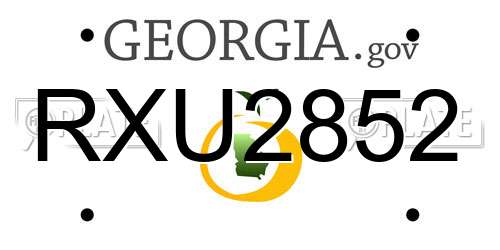 RXU2852 Georgia License Plate