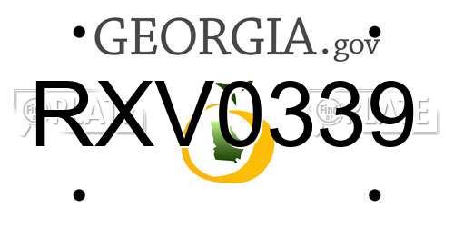 RXV0339 Georgia License Plate
