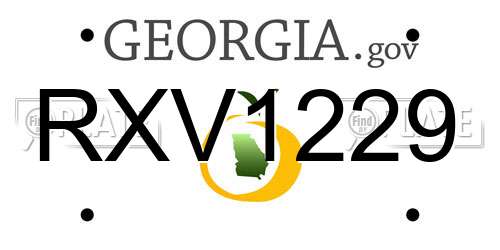 RXV1229 Georgia License Plate