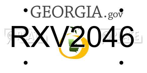 RXV2046 Georgia License Plate