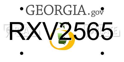 RXV2565 Georgia License Plate