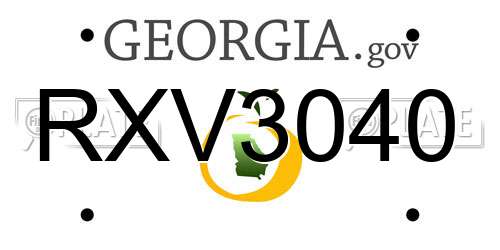 RXV3040 Georgia License Plate