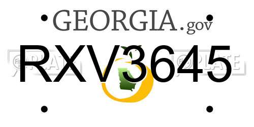 RXV3645 Georgia License Plate