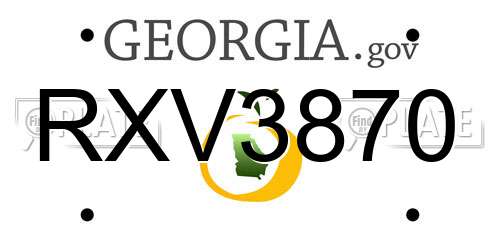 RXV3870 Georgia License Plate