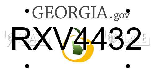 RXV4432 Georgia License Plate