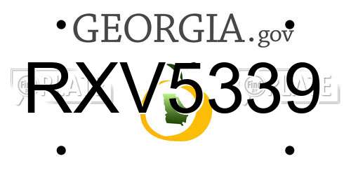 RXV5339 Georgia License Plate