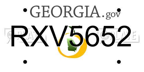 RXV5652 Georgia License Plate