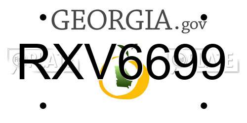 RXV6699 Georgia License Plate