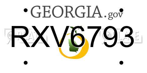 RXV6793 Georgia License Plate