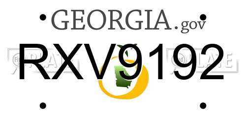 RXV9192 Georgia License Plate