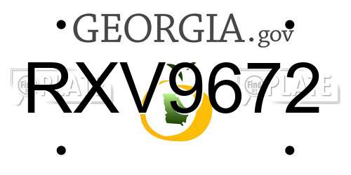 RXV9672 Georgia License Plate