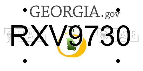 RXV9730 Georgia License Plate