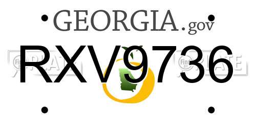 RXV9736 Georgia License Plate